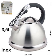 Bouilloire Sifflante Induction