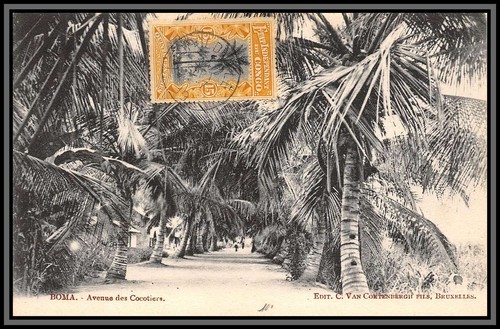 56916 boma avenue des - 56916, n°20