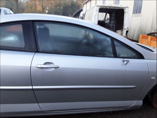 Porte peugeot 407 9004 w8 - 9004,