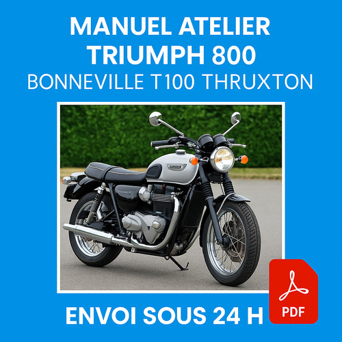 Manuel atelier triumph 800 - manuel,