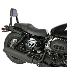 Sissy Bar custom HYOSUNG 125