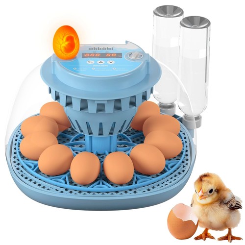 Couveuse oeuf automatique - oeuf,