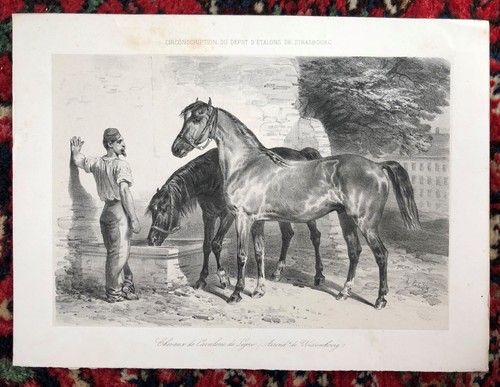 Lithographie originale - lithographie,