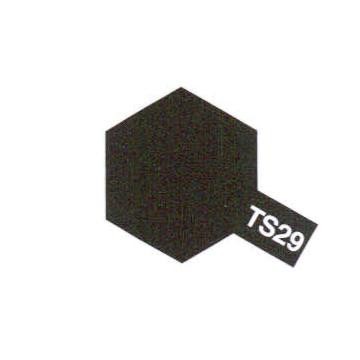 Spray ts29 noir satne - noir, tamiya