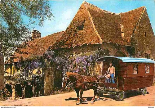 Carte postale animaux - animaux,