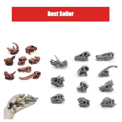 Mini crânes résine pour - crânes, en