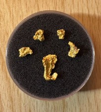 5 pépites d'or Australie 24k