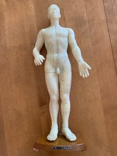 Male Acupuncture and Moxibustion Model 21” with Chinese Points