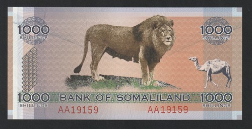 1000 shillings somaliland - 1000,