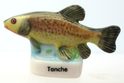 Feve tanche - feve,