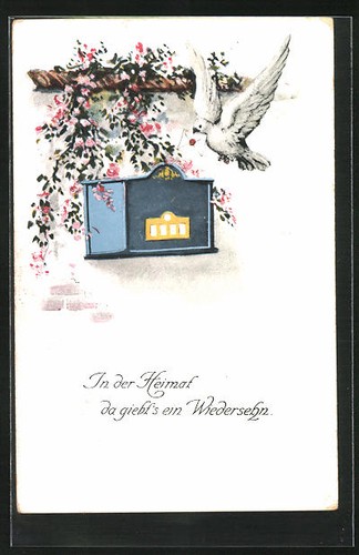 Pigeon voyageur sur boîte - voyageur,