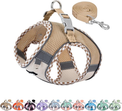 Harnais laisse chien chiot - chien,