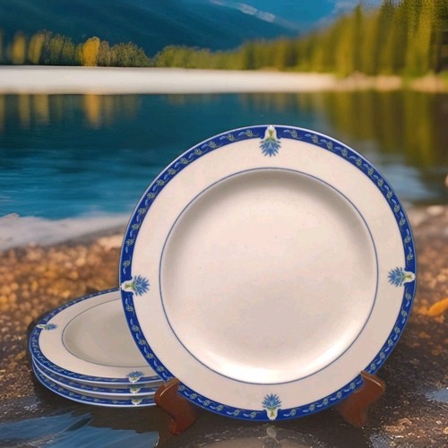 Ligne hotesse porcelain - hotesse,