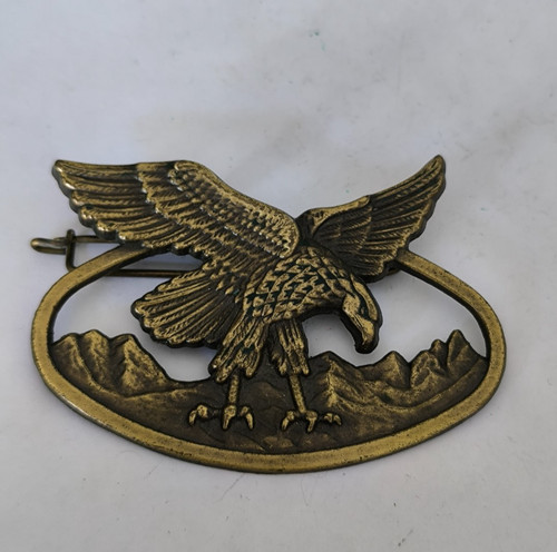 Insigne brevet skieur - insigne,