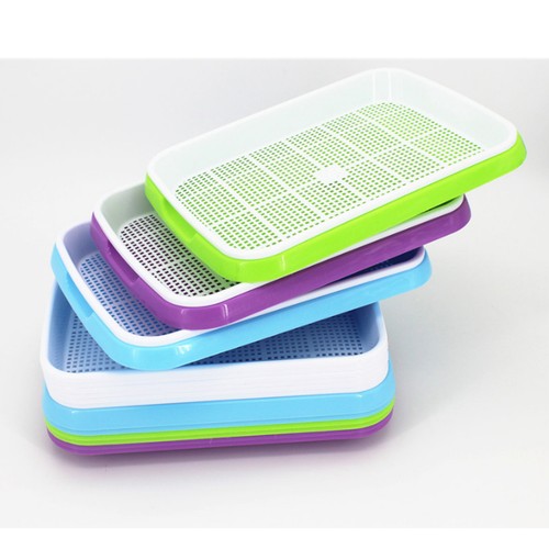Plateau germoir pour - plateau, le