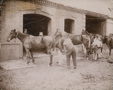 Military, maneuvers, horses and farrier, ca.1905, vintage citrate