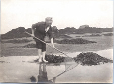France, Iles Chausey, Pêche à l&#039;épuette, vintage silver print, ca.1915 Vi