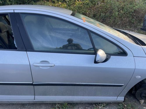 Porte avant droit - , 407