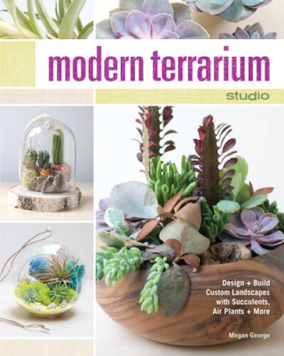 Modern terrarium studio - modern,