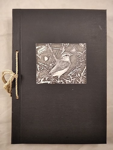 Vögel käfig und voliere - käfig,