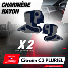 Kit 2 Charnières Hayon -