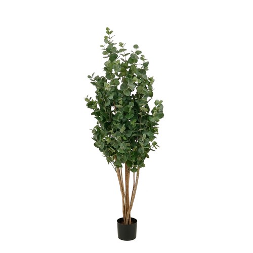 Mica decorations eucalyptus - mica,