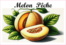 Melon  Pêche 12 sticker vinyl