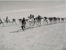 SAHARA c. 1950 - Tamanrasset Front Caravan - NV 4074