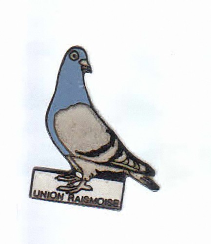 Rare pins pin animal - pins, pin's