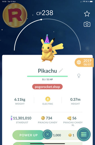 Pikachu party hat costume - party,