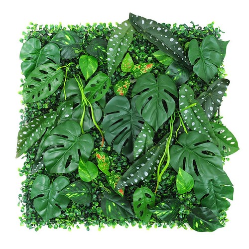 Tapis haie 50 - x, cm