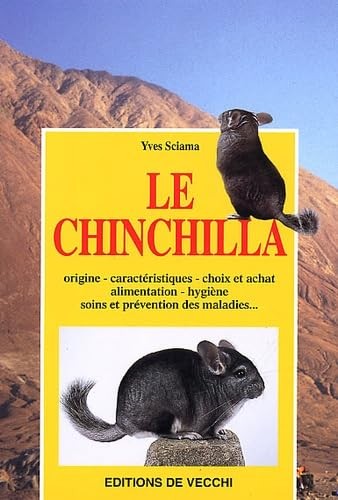 Chinchilla sciama yves - chinchilla, sciama,