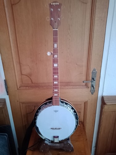 Banjo cordes marque swan - de,