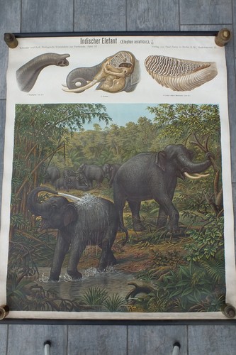 Rare superbe ancienne affiche - rare,