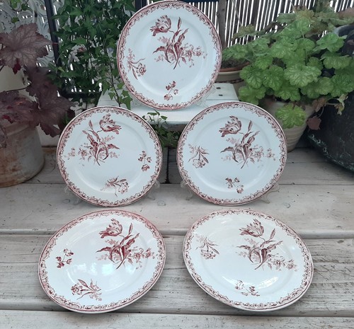 Assiettes desserts - ,