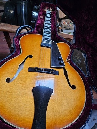 Guitare jazz franc - franc, cheval.