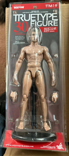 Hot toys ttm truetype 6 - 19,