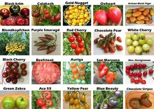 ENSEMBLE DE GRAINES DE TOMATE : 20 types de tomates différents, tomates rares