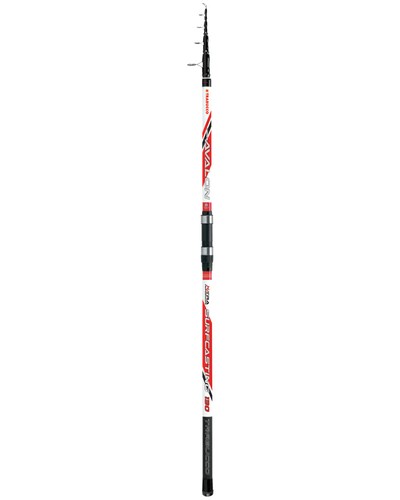Canne avalon surfcasting - canne,
