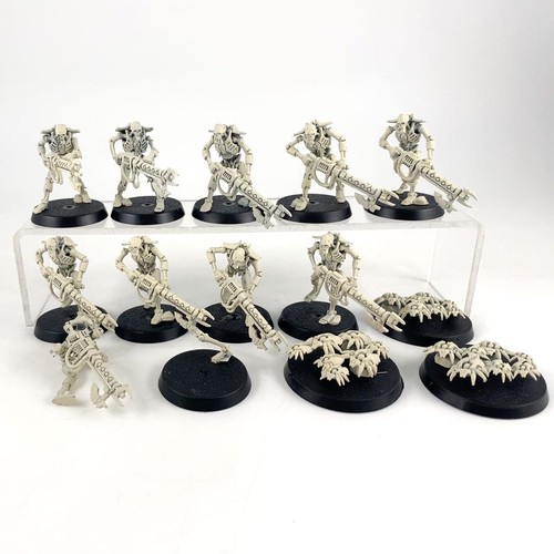 X13 guerriers scarab - +,