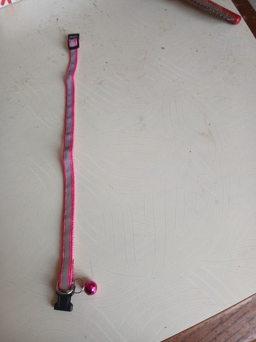 Collier pour chats - chats, petit