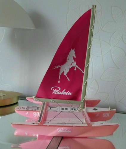 Kit maquette poulain chocolat - maquette,