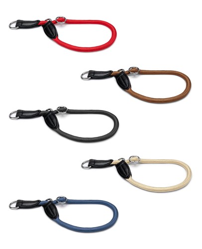 Lionto collier chien - collier,