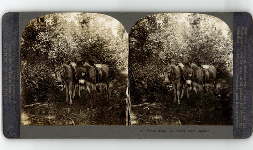 Deux ânes stéréo vintage - ânes,,