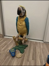 Jeux multifonctions Perroquet