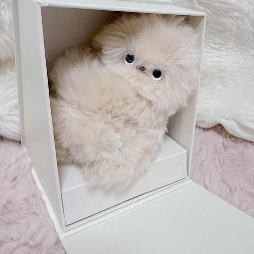 Mirumi tokyo charm robot - charm,