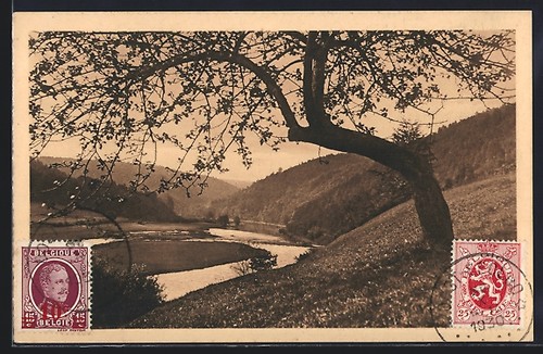 Cpa laforêt semois 1930 - laforêt,,