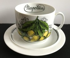 Grande tasse à déjeuner