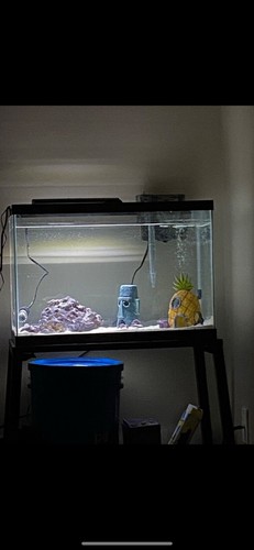 Complete aquarium setup - aquarium,