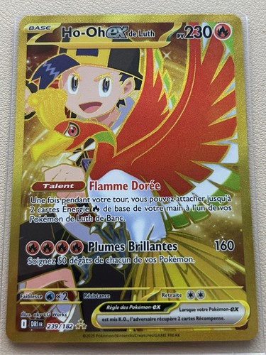 Pokémon jcc de luth - jcc,